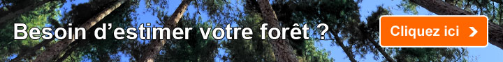 Besoin d'estimer votre forêt ?